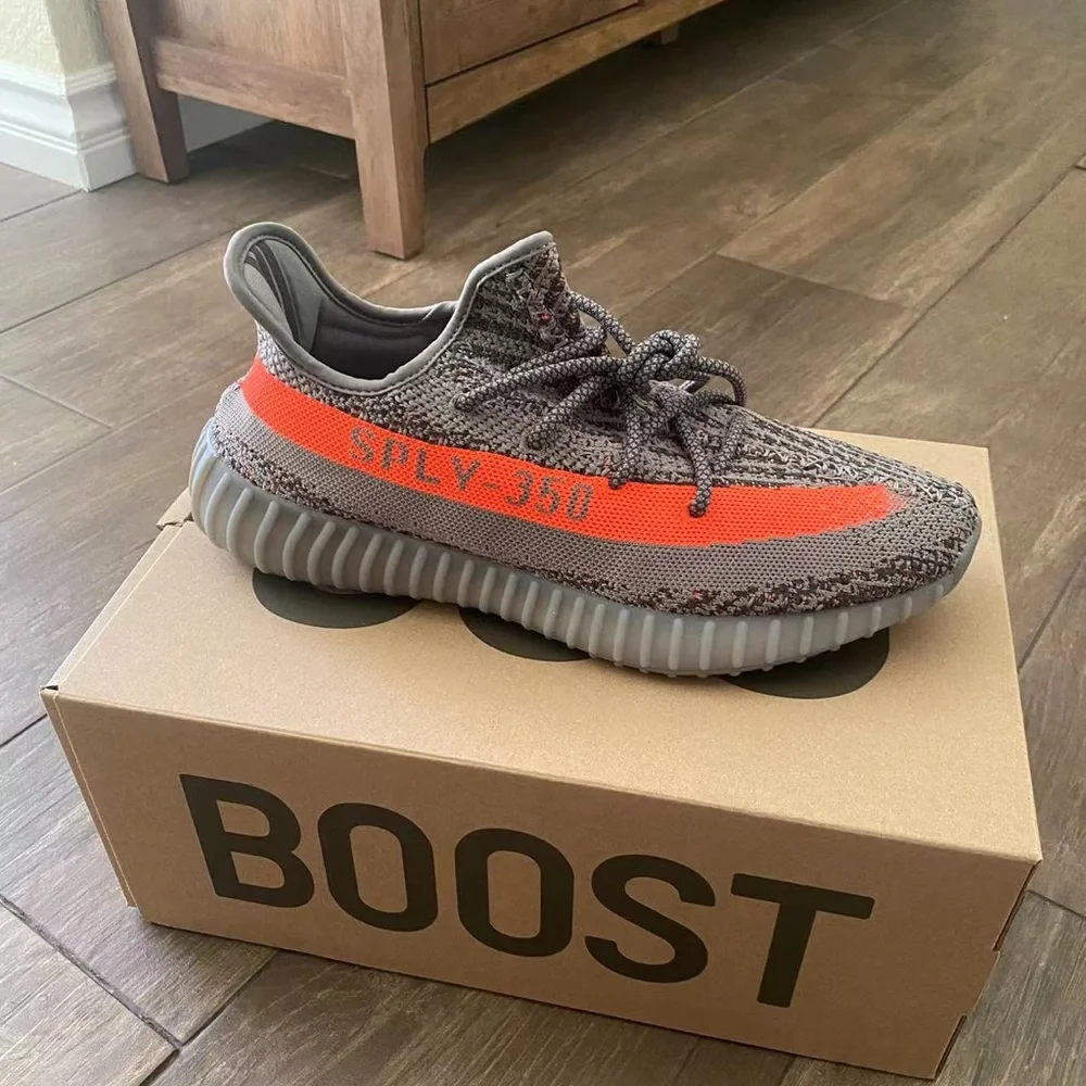Yeezy 350, Authentic - Picture 1 of 3
